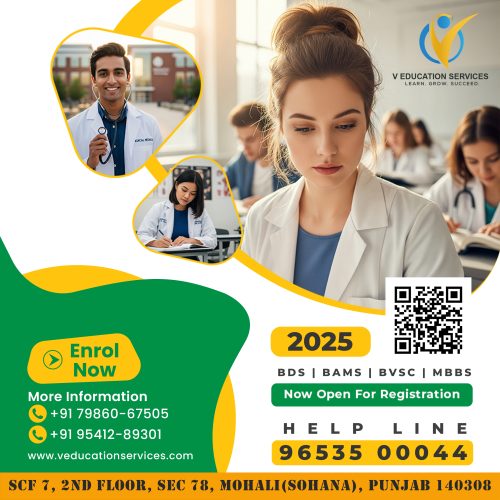 Medical Flyer